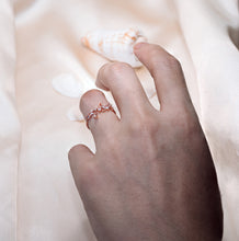 Load image into Gallery viewer, Ascella