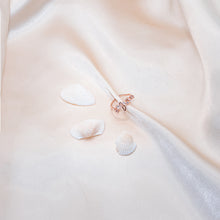 Load image into Gallery viewer, Ascella