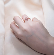 Load image into Gallery viewer, Astra