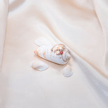 Load image into Gallery viewer, Capella