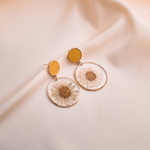 Load image into Gallery viewer, Evanthe