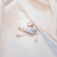 Load image into Gallery viewer, Halley